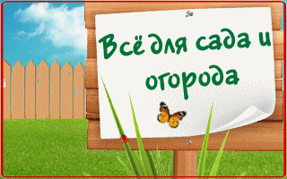 banner_dlya_sad